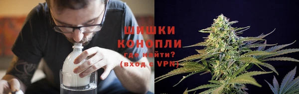 прущий лед Вяземский